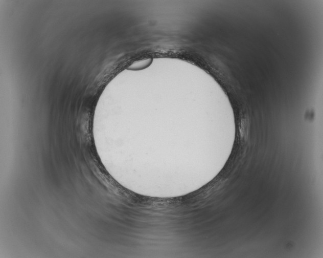 X0000113931396200911061209