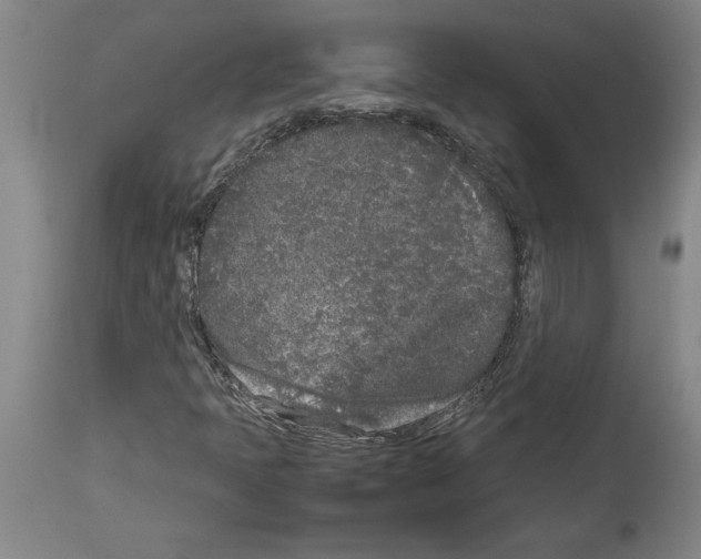X0000113931397200911061209