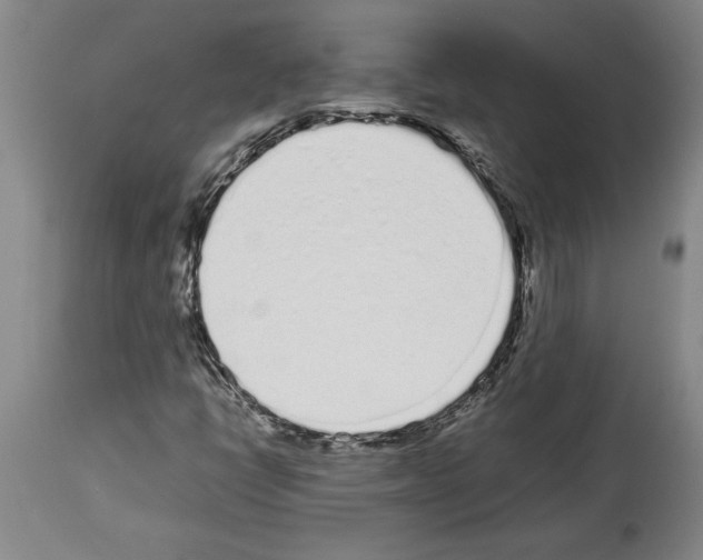 X0000113931398200911061209