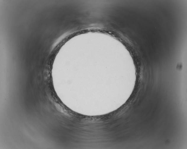 X0000113931400200911061209