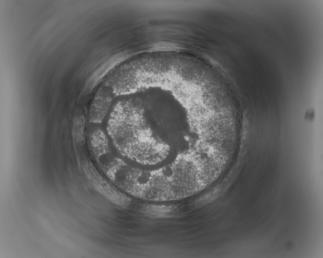 X0000113931401200911061209
