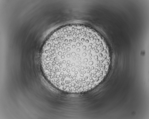 X0000113931404200911061209