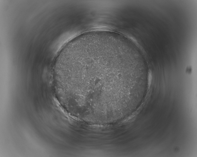 X0000113931405200911061209