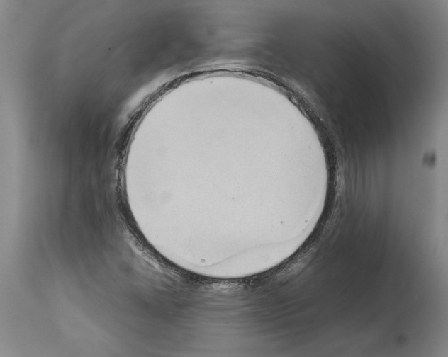 X0000113931406200911061209