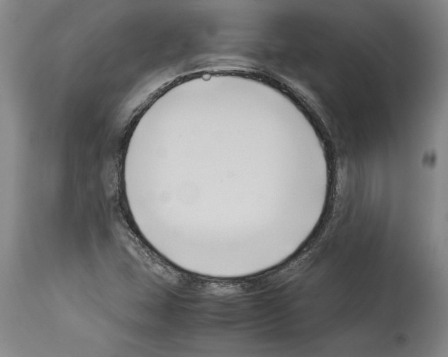 X0000113931407200911061209