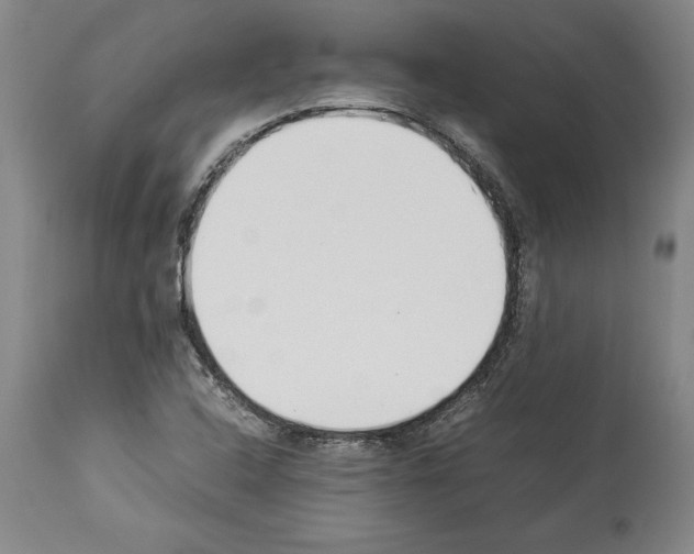X0000113931408200911061209