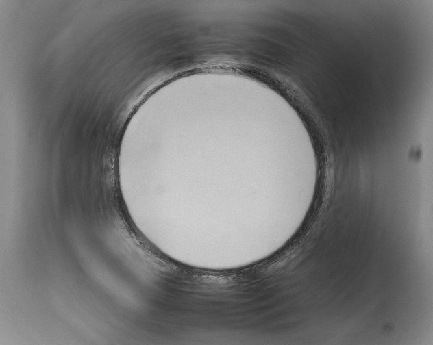 X0000113931409200911061209
