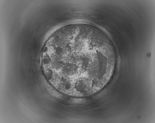 X0000113931413200911061209