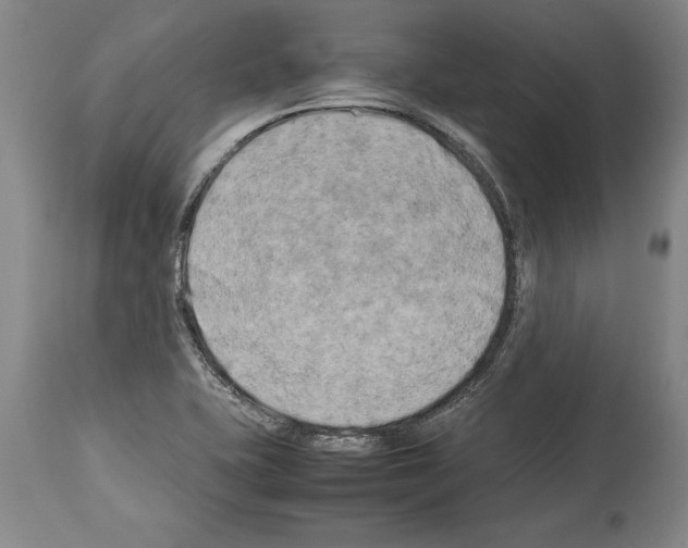 X0000113931415200911061209