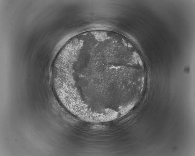 X0000113931419200911061209