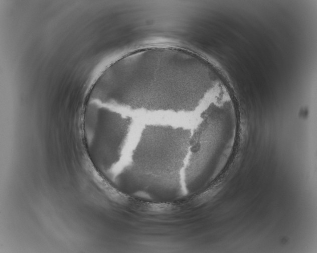 X0000113931421200911061209