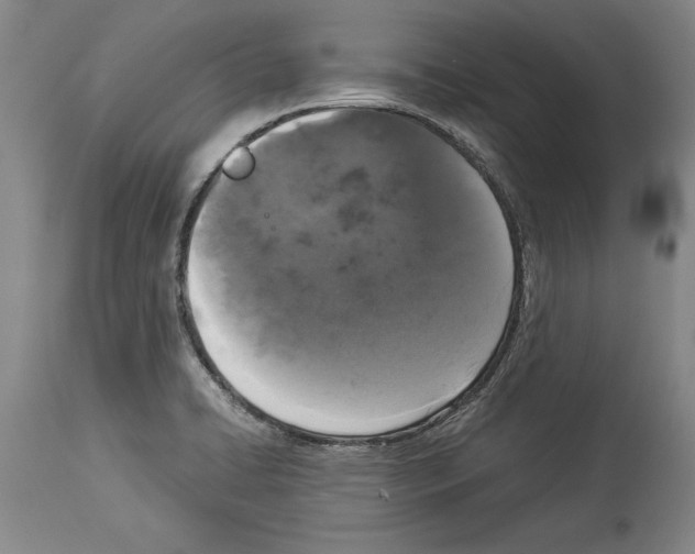X0000113931422200911061209