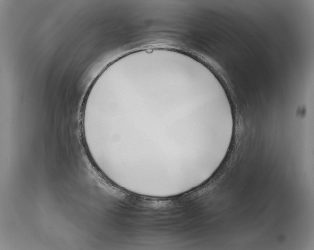X0000113931423200911061209