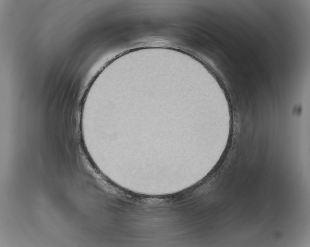 X0000113931424200911061209