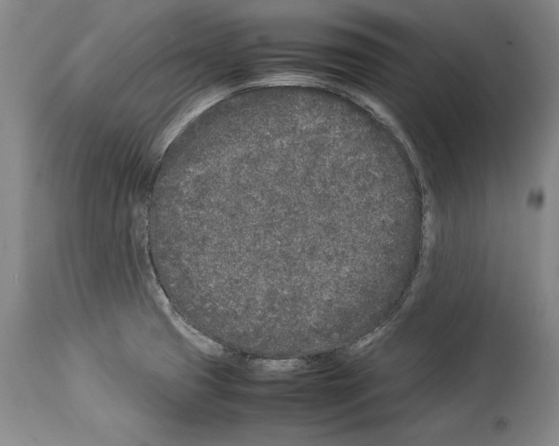 X0000113931425200911061209