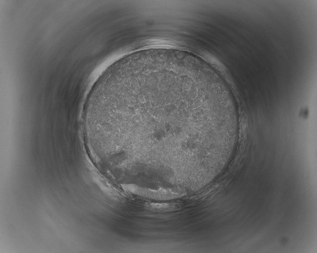 X0000113931427200911061209