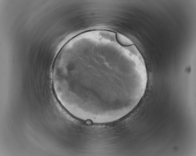 X0000113931428200911061209
