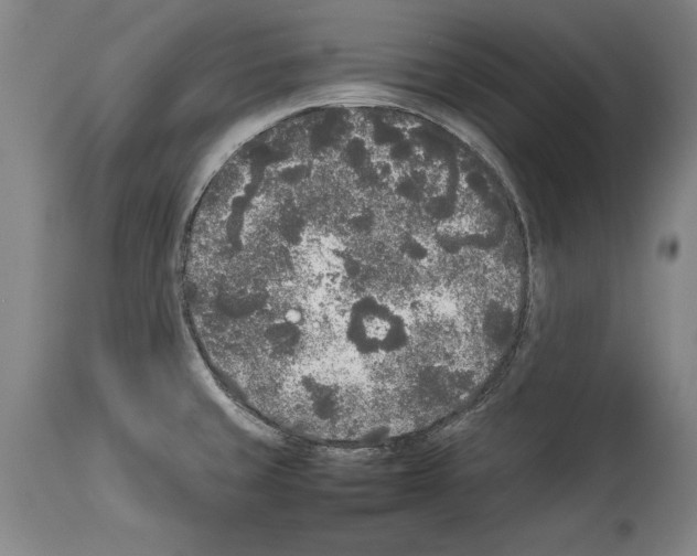 X0000113931429200911061209