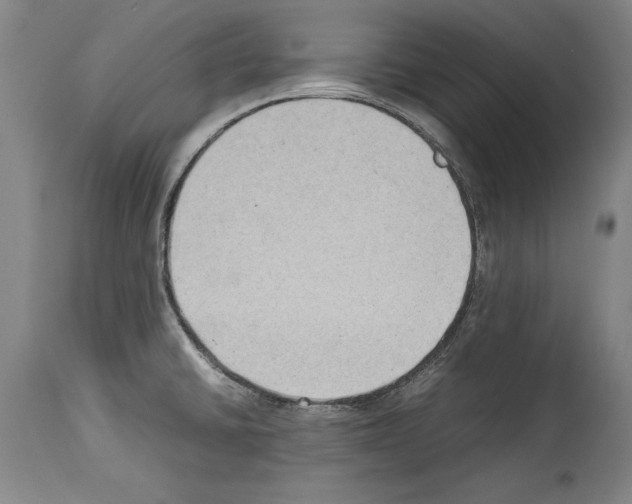 X0000113931430200911061209