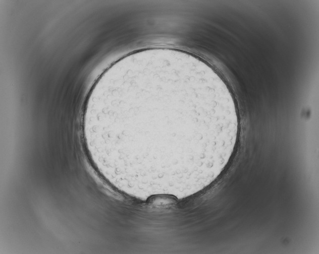 X0000113931432200911061209