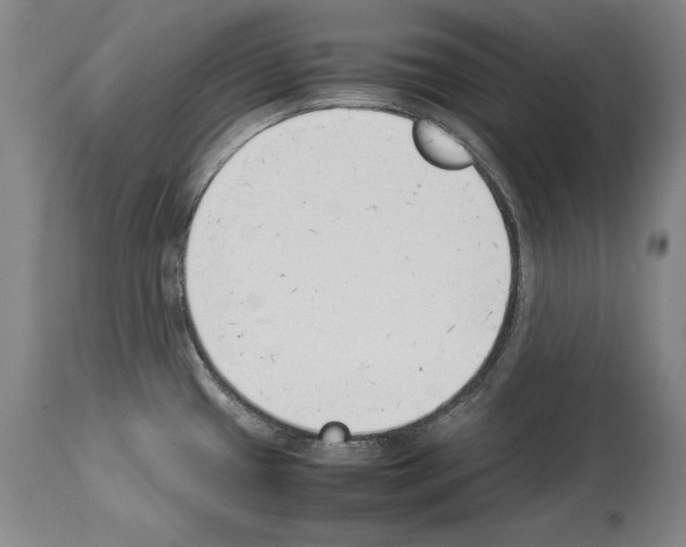 X0000113931433200911061209