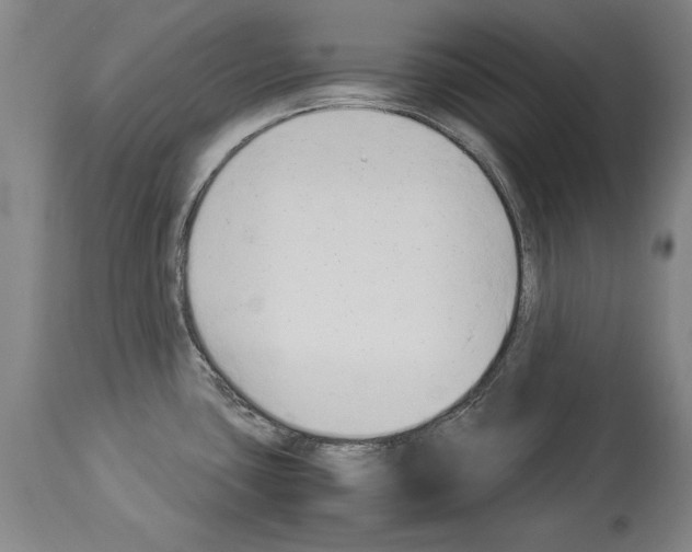 X0000113931435200911061209