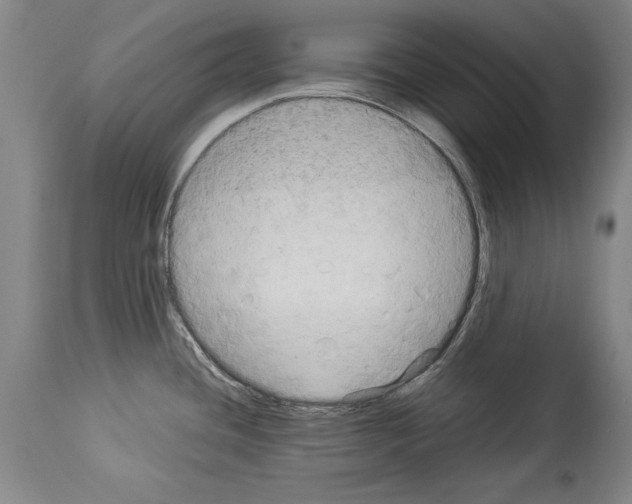 X0000113931436200911061209