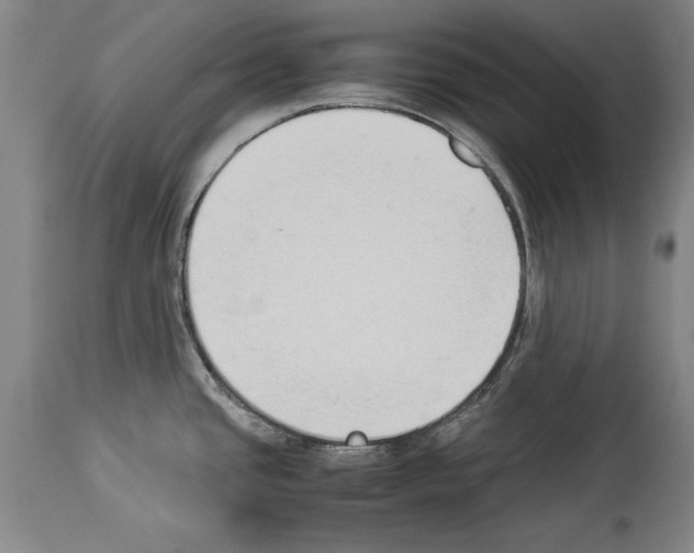 X0000113931437200911061209
