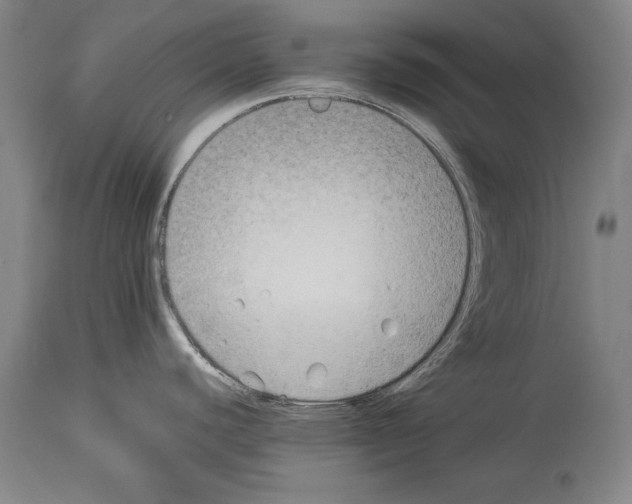 X0000113931440200911061209