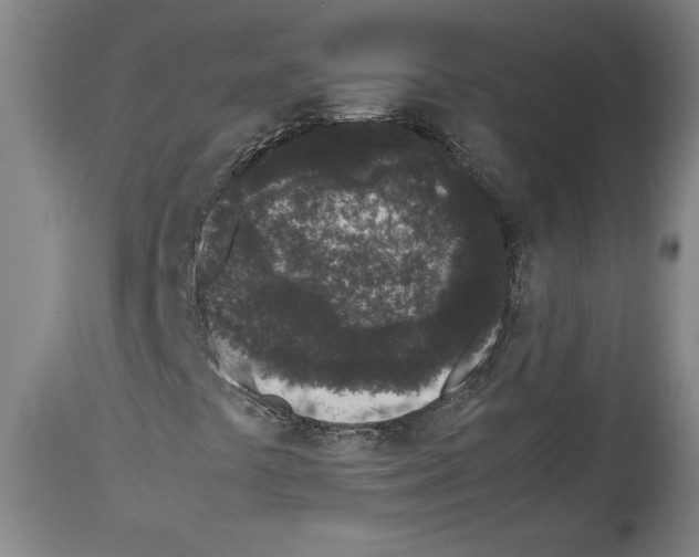 X0000113931441200911061209
