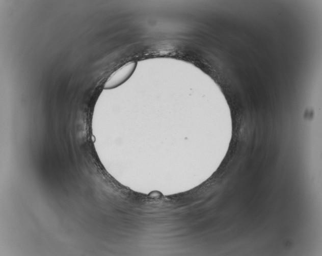 X0000113931442200911061209
