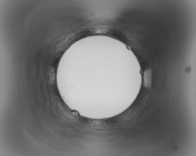 X0000113931443200911061209