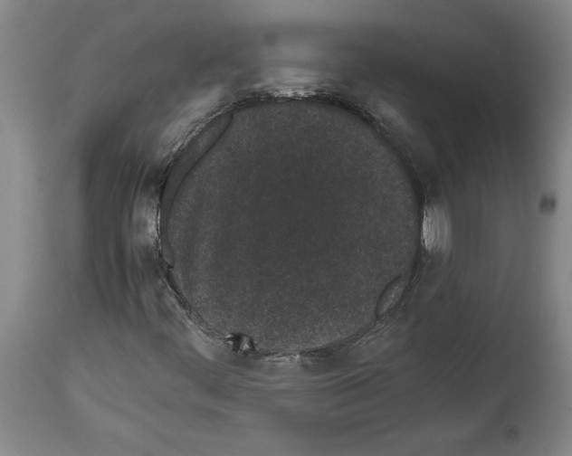 X0000113931444200911061209
