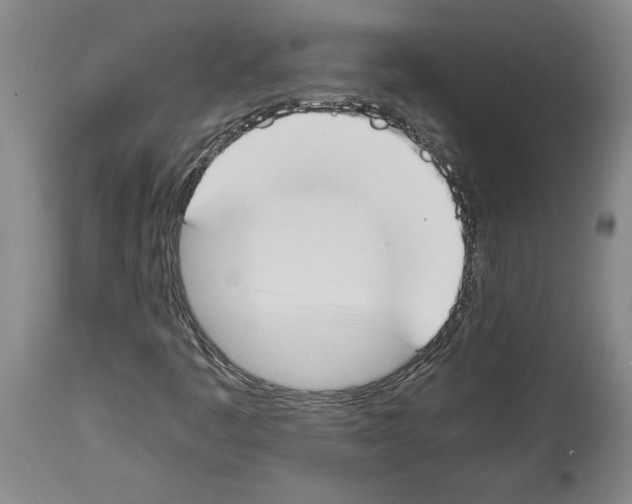 X0000113931445200911061209