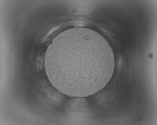 X0000113931446200911061209