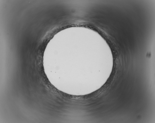 X0000113931447200911061209