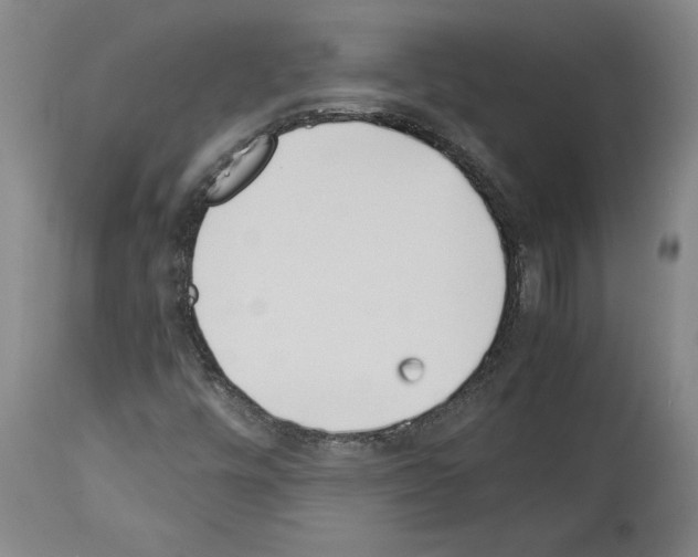 X0000113931448200911061209