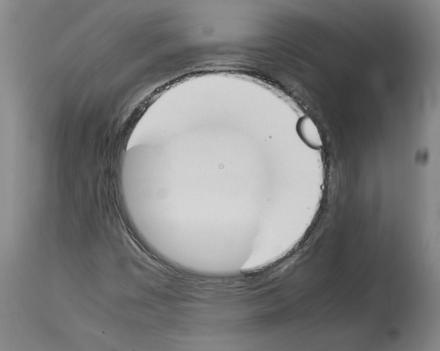 X0000113931449200911061208