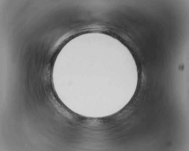 X0000113931450200911061208