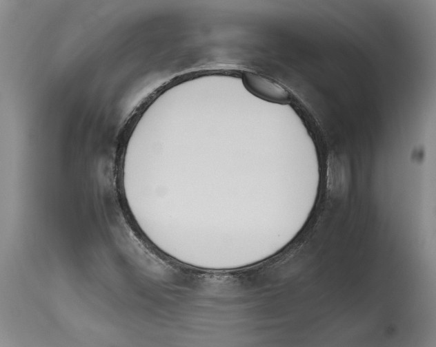 X0000113931452200911061208