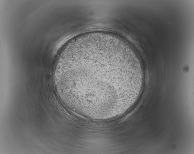X0000113931453200911061208