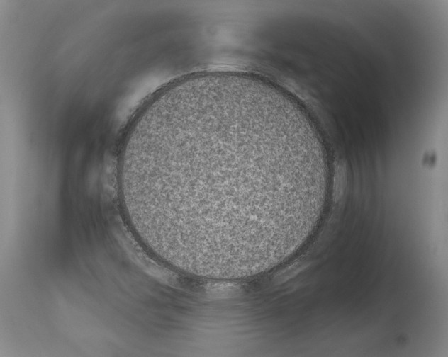 X0000113931454200911061208