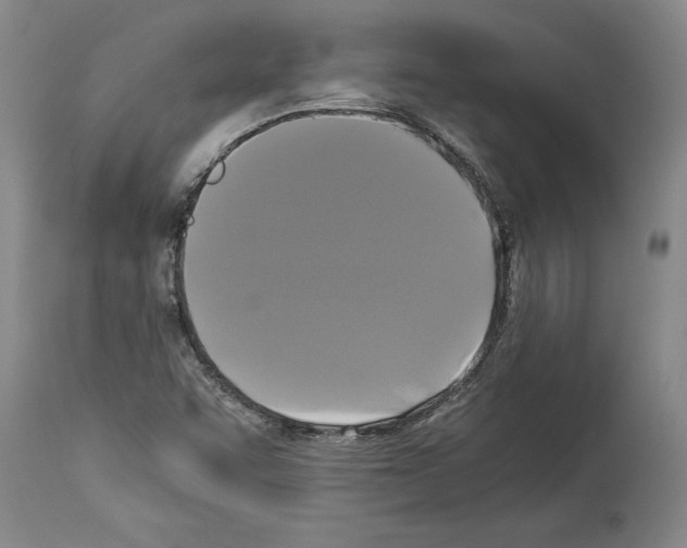 X0000113931455200911061208