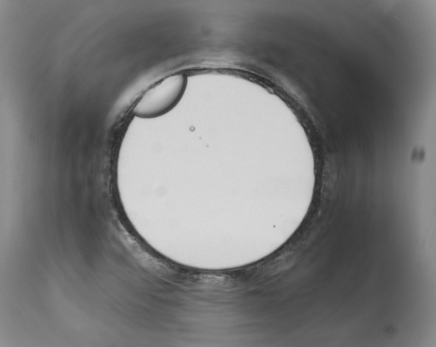 X0000113931456200911061208