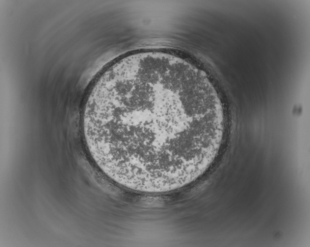 X0000113931457200911061208