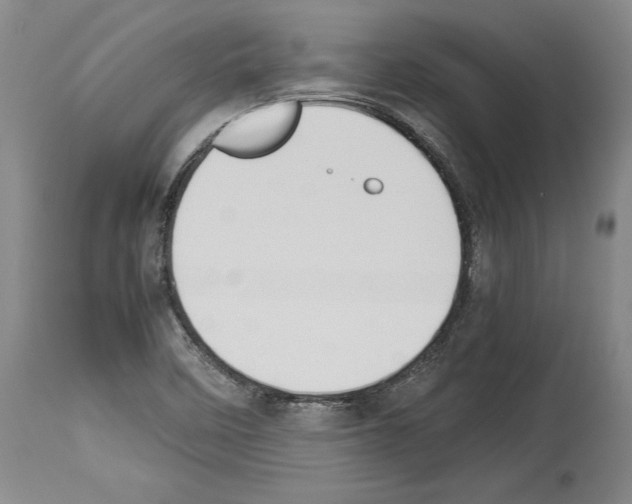 X0000113931458200911061208