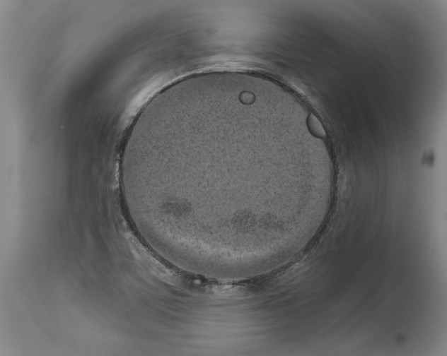 X0000113931459200911061208