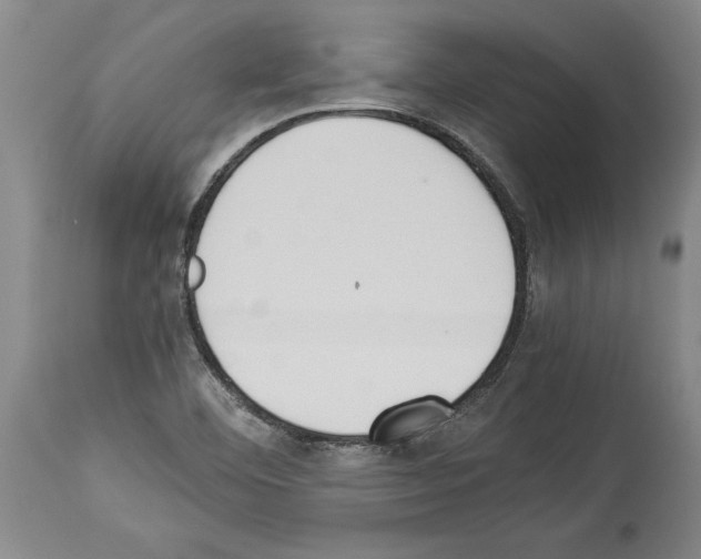X0000113931460200911061208