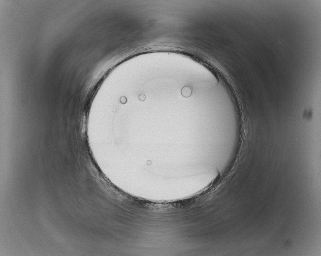 X0000113931461200911061208