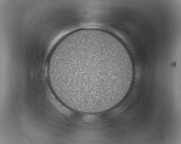 X0000113931462200911061208